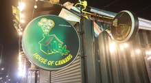cannabis shop