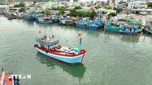 Vietnam targets end to illegal fishing by November 2025