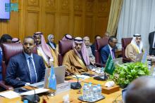 Foreign Minister Participates in Meetings on Somalia Support, Turkish Intervention