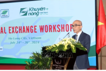 Deputy Director of the MARD’s International Cooperation Department To Viet Chau speaks at the workshop (Photo: VNA)