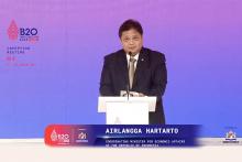 Coordinating Minister for Economic Affairs, Airlangga Hartarto.