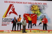 Vietnam tops the medal table at 2025 Asian Pencak Silat Championship (Photo: VNA)