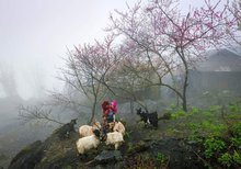 Vietnam named World’s Leading Heritage Destination 2025