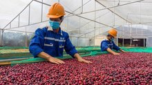 Vietnam's export orders rebound amid reciprocal tariffs