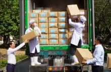 Dong Thap exports first batch of lotus roots to Japan