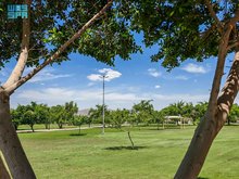 Najran Municipality Enhances Parks to Welcome Visitors