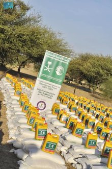 KSrelief Distributes 500 Food Baskets in Chad