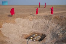 KSrelief Masam Project Dismantles 1,319 Mines in Yemen within a Week