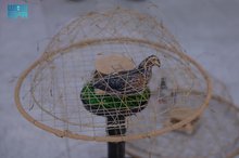 Hunting Season Sparks Economic Boom in Northern Borders Region