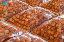 Al-Badayea Date Season: Quality and Supply Drive Economic Activity
