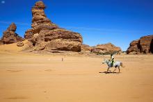 royal commission for alula to hold custodian of the two holy mosques endurance cup 2022, richard mille alula desert polo