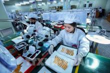 Nearly 160,000 new enterprises have been established in Vietnam in 2023. (Photo:  VNA)