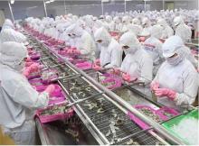 Vietnam's agro-forestry-aquatic product exports post trade surplus of 4.74 billion USD in four months