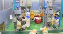 Workers package rice for export at the Thao Son food factory, a subsidiary of Loc Troi Group JSC. (Photo: VNA)