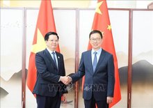 Deputy Prime Minister Mai Van Chinh (L) meets with Chinese Vice President Han Zheng in Nanning city on September 16, 2025. (Photo: VNA)