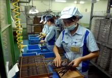 A production line of a Japanese-invested firm at the Quang Minh IP in Hanoi (Photo: VNA)