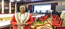 The Director of the Community Cohesion Program Team of the UNDP, Judy Wakahio
