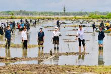 President Widodo plants mangroves in Tana Tidung district, North Kalimantan on Tuesday (October 10, 2021). (ANTARA/Laily Rachev - Presidential Secretariat Press Bureau)