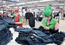 Vietnam exceeds global forecasts with 8.23% GDP growth