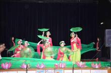 Vietnam attends francophone cultural festival in France