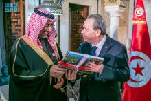 Minister of Industry and Mineral Resources Discusses Developing Cooperation with Tunisian Prime Minister