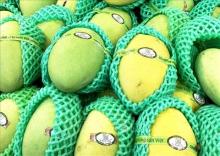 Mangoes are labelled for traceability. (Photo: VNA)