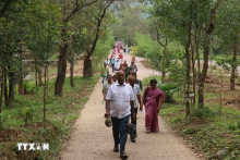 Indian tourists visit My Son Sanctuary in the central province of Quang Nam. (Photo: VNA)