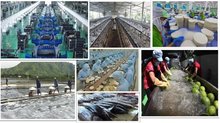 Vietnamese Party leader highlights new momentum for economic development