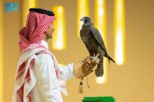 British Breeder Sells 3 Falcon Chicks for SAR 176,000 at International Falcon Breeders Auction in Malham