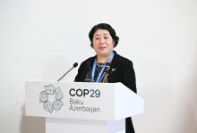 COP29 features discussions on resilient Caucasus Mountains and regional cooperation