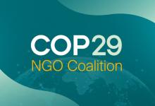 Over 500 NGOs from over 100 countries issue statement on “Baku Breakthrough” at COP29