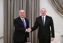 President Ilham Aliyev received former Foreign Minister of Türkiye Mevlüt Çavuşoğlu 