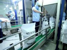 Rice is packaged at the Song Hau Food Company in the Mekong Delta city of Can Tho (Photo: VNA)