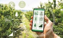 Digital transformation will be promoted in building new-style rural areas, towards smart rural development, for the 2021 – 2025 period (Photo: Ministry of Agriculture and Rural Development)