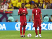AFC2024