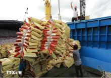 Vietnam to have enough 8 million tonnes of rice for export