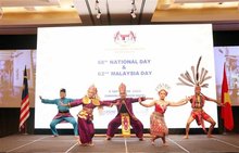 HCM City treasures close, effective cooperation with Malaysia: official