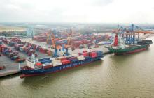 Loading and unloading container goods at a seaport in Vietnam. (Photo: VNA)