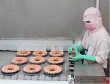 Vietnam’s shrimp exports maintain steady growth