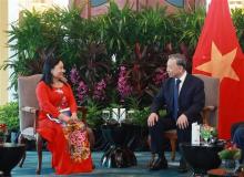 Vietnamese Party chief receives leaders of outstanding firms in Singapore