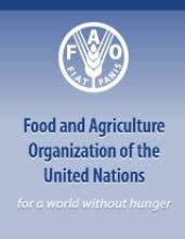 Agricultural Jihad Minister In Rome To Attend 31st FAO Confab