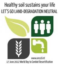 Healthy Soil Sustains Your Life - UN Chief   