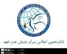 Top Iranian lawmaker: NAM should support violated rights of Palestinians