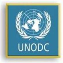 Opium-crop Cultivation Rises In Afghanistan, Prices Remain High   