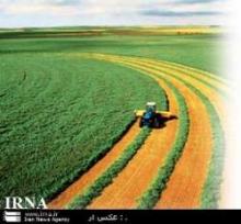 Iran's Agriculture Among World Top Twenty Countries – Official  