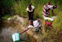 WHO Heralds “New Phase” In Fight Against Neglected Tropical Diseases  