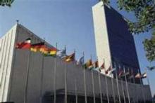  Ban calls for halting all forms of violence against women, girls  