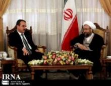 Islamic HR Standards To Be Highlighted: Iran    