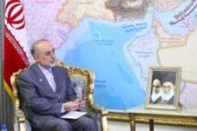 Salehi Offers Views On Latest West's Anti-Iran Measures