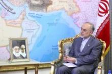 FM Warns Regional States Against Zionists' Plots